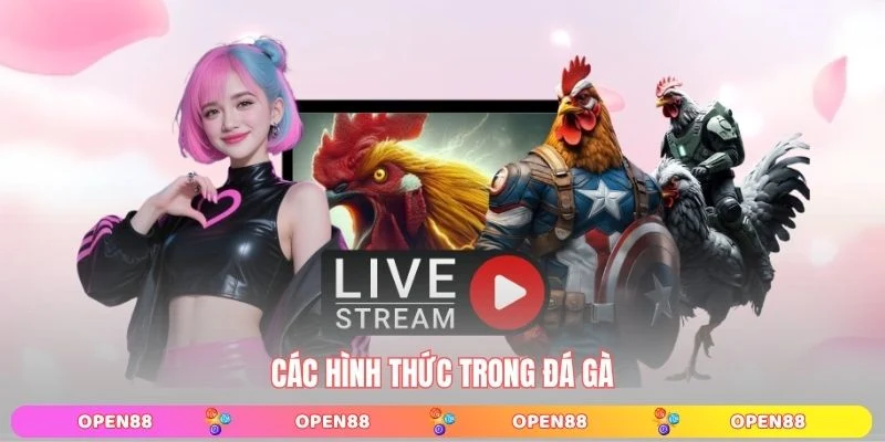 Các hình thức trong đá gà