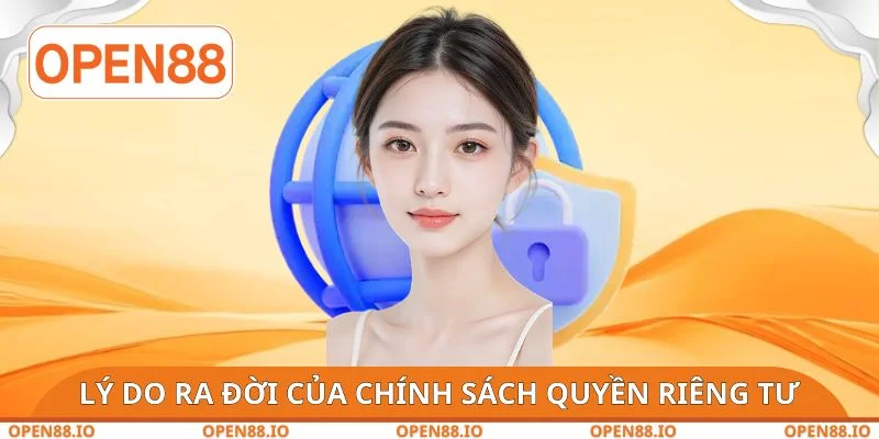 Lý do phát triển chính sách quyền riêng tư chi tiết