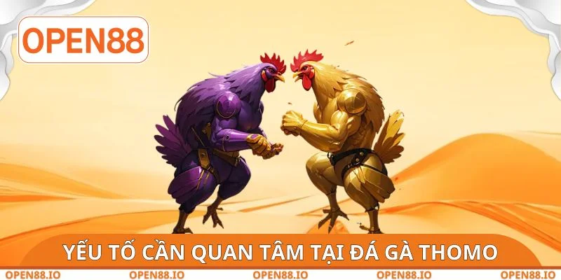 Yếu tố cần quan tâm tại đá gà Thomo